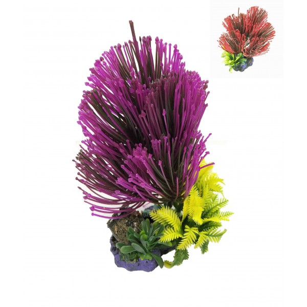 ΔΙΑΚΟΣΜΗΤΙΚΟ ΦΥΤΟ ΕΝΥΔΡΕΙΟΥ